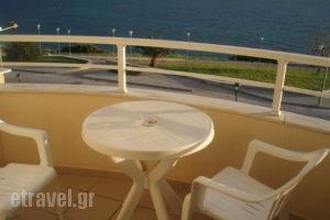 Kiwi_lowest prices_in_Hotel_Macedonia_Halkidiki_Nea Fokea