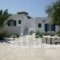 Willy's Studios_best prices_in_Hotel_Cyclades Islands_Sandorini_Sandorini Chora