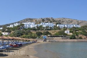 Dolphin Bay Hotel_accommodation_in_Hotel_Cyclades Islands_Syros_Galissas