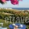 La Casa Tinos_best deals_Hotel_Cyclades Islands_Syros_Syros Rest Areas