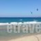 Hotel Petras Beach_best prices_in_Hotel_Crete_Lasithi_Sitia