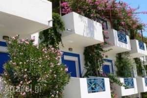 Armonia Hotel_accommodation_in_Hotel_Crete_Heraklion_Matala