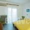 Aphrodite Studios_best deals_Hotel_Macedonia_Halkidiki_Kassandreia