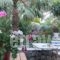 Olive Tree Cottages_best prices_in_Hotel_Crete_Chania_Palaeochora