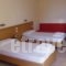 Hotel Aphroditi_lowest prices_in_Hotel_Macedonia_Halkidiki_Pefkochori