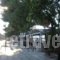 Kypreos_holidays_in_Hotel_Central Greece_Fthiotida_Kamena Vourla