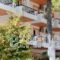 Hotel Kalypso_best prices_in_Hotel_Central Greece_Evia_Edipsos