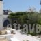 Captain Manolis_lowest prices_in_Hotel_Cyclades Islands_Paros_Paros Chora