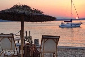 Venus Beach Hotel_best prices_in_Hotel_Central Greece_Attica_Rafina