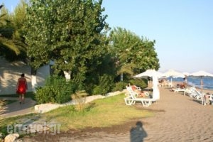 Posidonia Pension_holidays_in_Hotel_Central Greece_Evia_Amaranthos