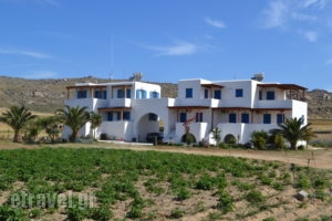 Joanna's Apartments_accommodation_in_Apartment_Cyclades Islands_Naxos_Naxos Chora