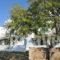 Ostria Studios_best deals_Hotel_Cyclades Islands_Andros_Gavrio