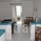 Ostria Studios_lowest prices_in_Hotel_Cyclades Islands_Andros_Gavrio