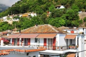 Hotel Elvetia_best prices_in_Hotel_Aegean Islands_Thasos_Panagia