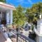 Hotel Elvetia_lowest prices_in_Hotel_Aegean Islands_Thasos_Panagia