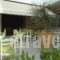 Alonia_best deals_Hotel_Crete_Heraklion_Kalamaki