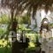 Baha-Ammes_accommodation_in_Hotel_Ionian Islands_Kefalonia_Kefalonia'st Areas