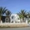 Princess Studios_best prices_in_Hotel_Dodekanessos Islands_Karpathos_Karpathos Chora