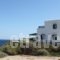 Iliada Studios_travel_packages_in_Cyclades Islands_Naxos_Naxos Chora