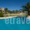 Alkioni_best deals_Hotel_Ionian Islands_Kefalonia_Katelios