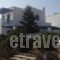 Galanos Studios_accommodation_in_Hotel_Cyclades Islands_Naxos_Agia Anna