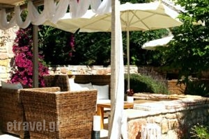 Alicelia_best prices_in_Hotel_Ionian Islands_Ithaki_Ithaki Rest Areas