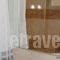 Elimeia 3 Hotel_holidays_in_Hotel_Macedonia_Grevena_Deskati