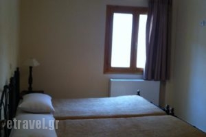 Odos Oneiron_best prices_in_Hotel_Central Greece_Viotia_Arachova