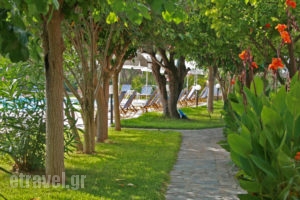 Pythos Studios_holidays_in_Hotel_Ionian Islands_Kefalonia_Vlachata