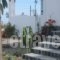 Sun Anemos Resort_best prices_in_Hotel_Cyclades Islands_Sandorini_Oia