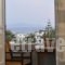 Anixis Studios_best deals_Hotel_Cyclades Islands_Paros_Paros Chora