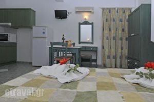 Anixis Studios_accommodation_in_Hotel_Cyclades Islands_Paros_Paros Chora