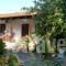 Irini Studios_accommodation_in_Hotel_Ionian Islands_Zakinthos_Zakinthos Rest Areas