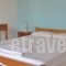 Irini Studios_best prices_in_Hotel_Ionian Islands_Zakinthos_Zakinthos Rest Areas