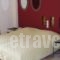 Elimeia 3 Hotel_best prices_in_Hotel_Macedonia_Grevena_Deskati