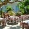 Julia Apartments_best deals_Apartment_Crete_Rethymnon_Rethymnon City