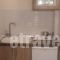 Studio Xanthi_best deals_Hotel_Aegean Islands_Thassos_Thassos Chora