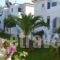 Maistrali Studios_accommodation_in_Hotel_Cyclades Islands_Andros_Andros City