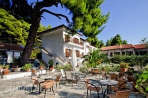 Delphi Resort_travel_packages_in_Sporades Islands_Skiathos_Skiathoshora