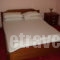 Alekas House_lowest prices_in_Hotel_Ionian Islands_Lefkada_Nikiana