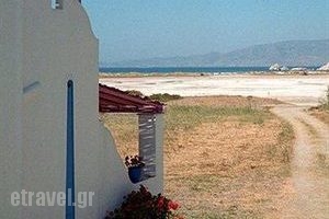 Lianos Studios_accommodation_in_Apartment_Cyclades Islands_Naxos_Naxos Chora