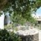 Iliada Beach_accommodation_in_Hotel_Ionian Islands_Corfu_Gouvia