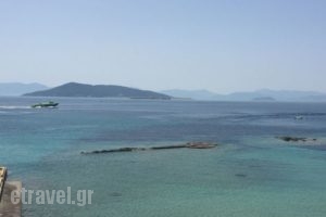 Areti_best deals_Hotel_Piraeus Islands - Trizonia_Aigina_Agia Marina