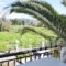 Digenis Studios_best deals_Apartment_Ionian Islands_Lefkada_Lefkada Rest Areas