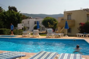 Angelos Studios_travel_packages_in_Dodekanessos Islands_Kos_Kos Chora