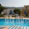 Angelos Studios_travel_packages_in_Dodekanessos Islands_Kos_Kos Chora