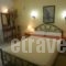 Regina_best deals_Hotel_Sporades Islands_Skopelos_Skopelos Chora