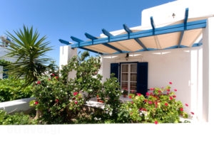 Angelikis Studios_lowest prices_in_Hotel_Cyclades Islands_Paros_Paros Chora