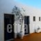 Delfini Hotel_holidays_in_Hotel_Dodekanessos Islands_Patmos_Skala