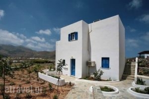 Amorgion_lowest prices_in_Hotel_Cyclades Islands_Amorgos_Katapola